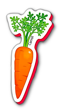 a refrigerator magnet shaped like a carrot.